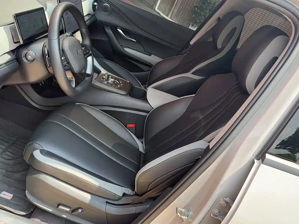 BYD Sealion 05 DM-i 2025 — фото 8