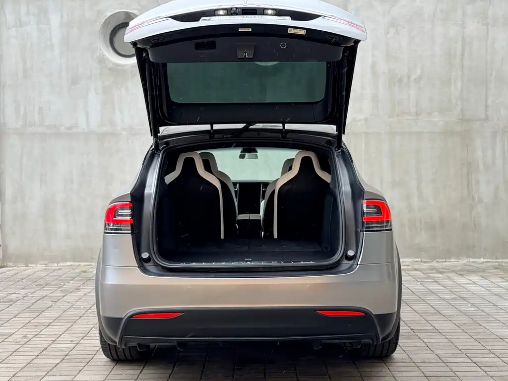 Tesla Model X 2019 — фото 14