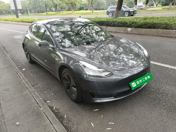 Tesla Model 3 2019
