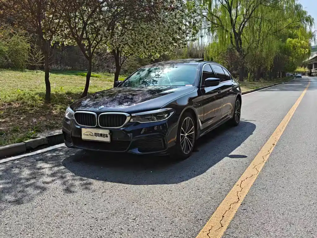 BMW 5 Series 2019 — фото 1