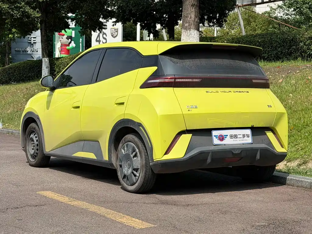 BYD Seagull 2024