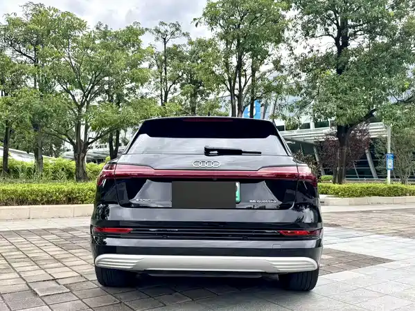 Audi e-tron 2021