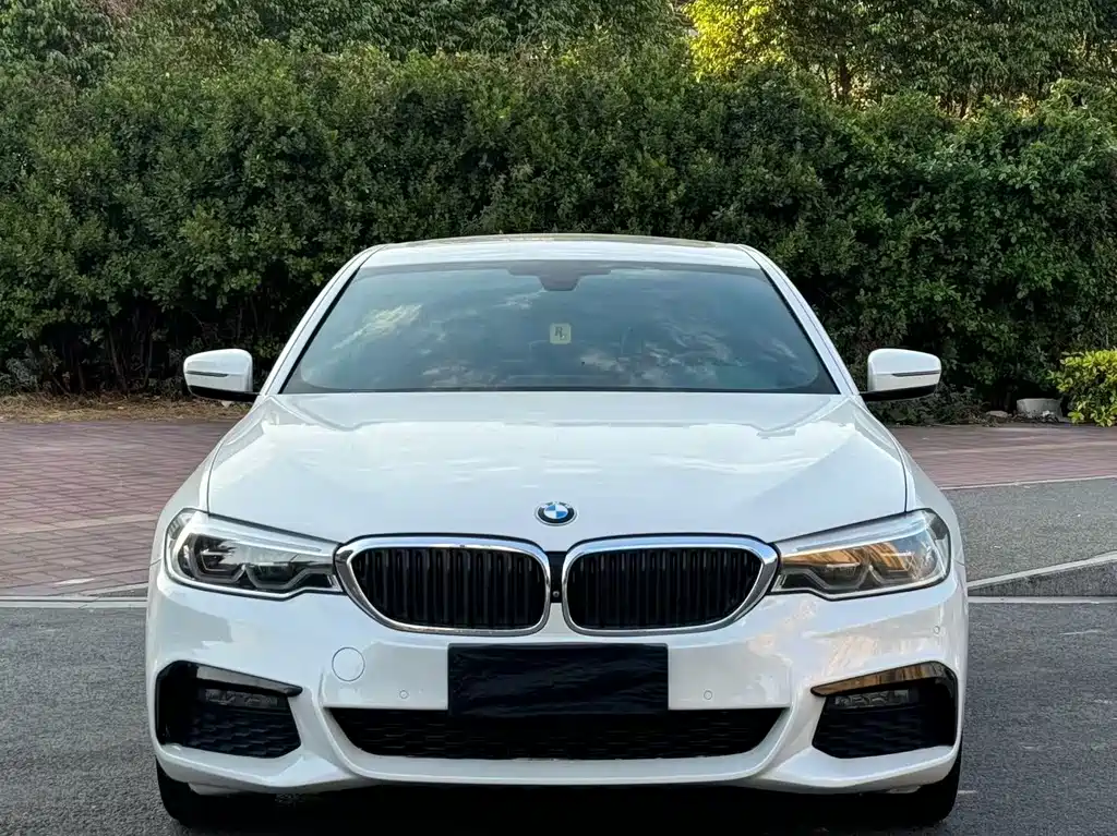 BMW 5 Series 2019 — фото 2