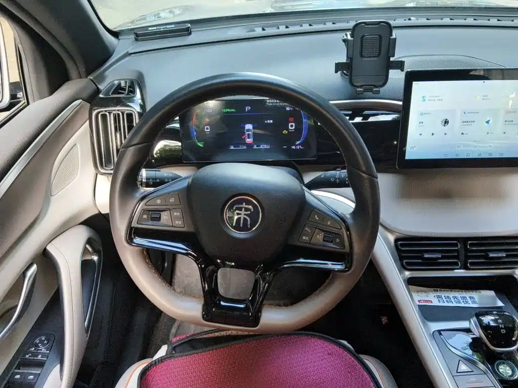 BYD Song Pro New Energy 2024 — фото 11