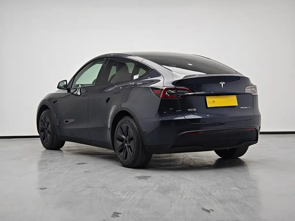 Tesla Model Y 2024 — фото 4