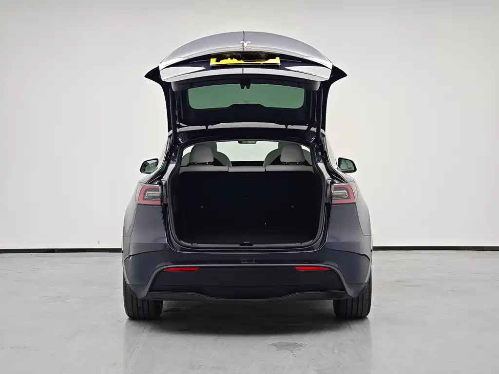Tesla Model Y 2024 — фото 6