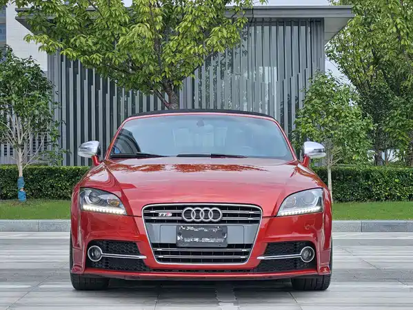 Audi TTS 2013