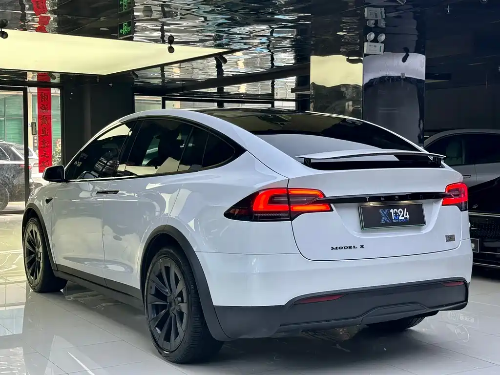 Tesla Model X 2023 — фото 6