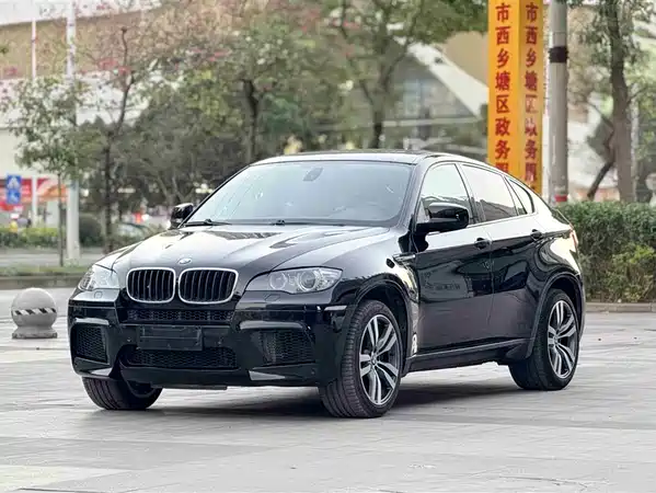 BMW X6 M 2010