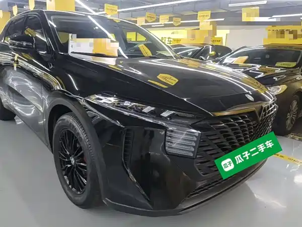 Venucia Big V 2023