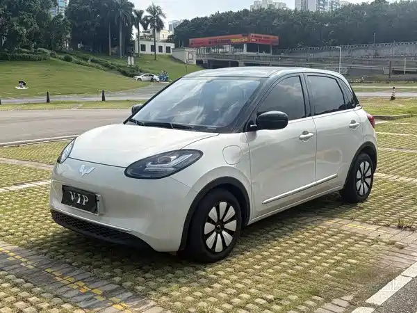 Wuling Bingo 2024