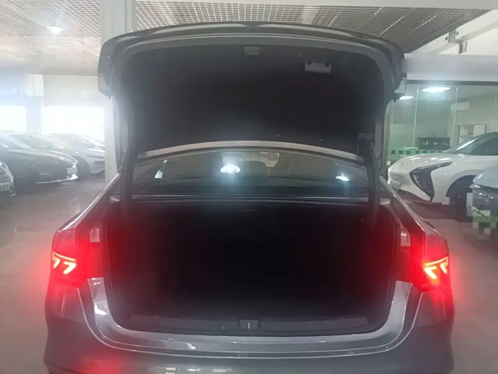 BYD Qin PLUS 2024 — фото 19
