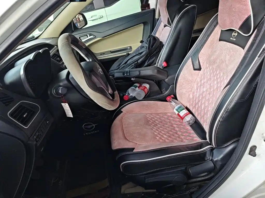 Haima Vanda Electric 2015 — фото 15