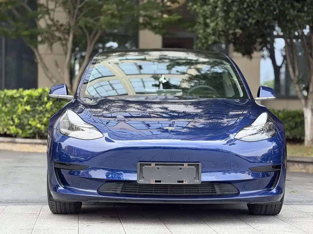 Tesla Model 3 2020 — фото 2