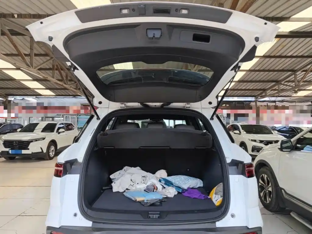 BYD Song Pro New Energy 2024 — фото 19