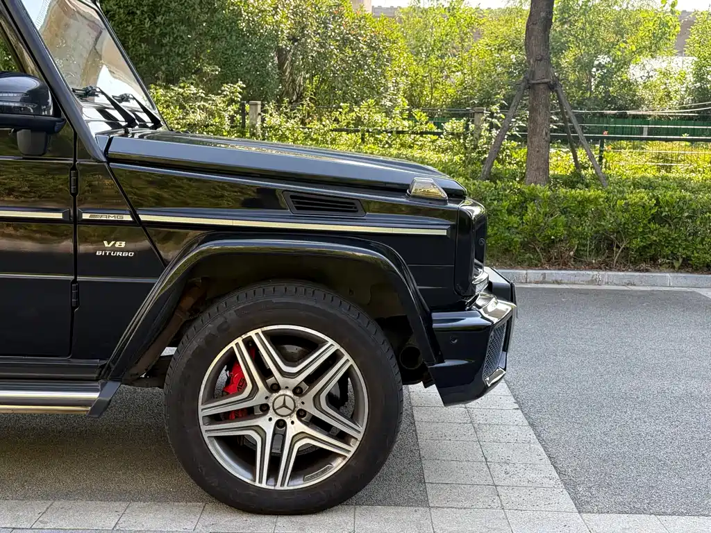 Mercedes-Benz G-Class AMG 2014 — фото 12