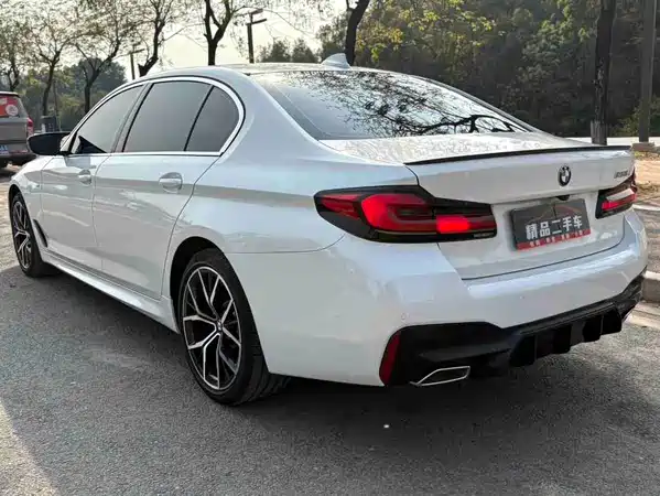 BMW 5 Series 2020