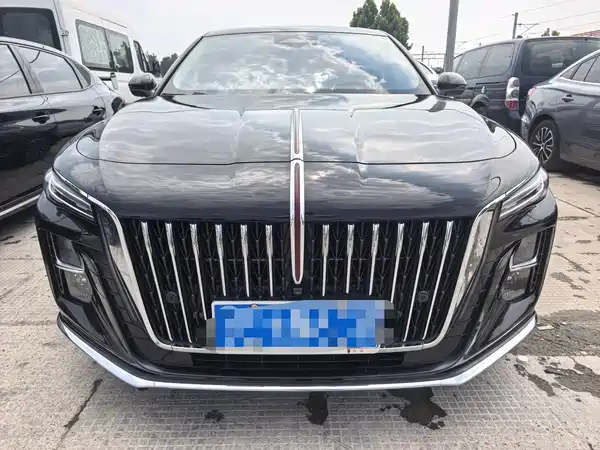 Hongqi H5 2024