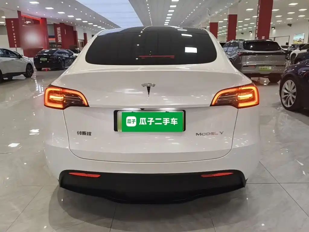 Tesla Model Y 2023 — фото 6