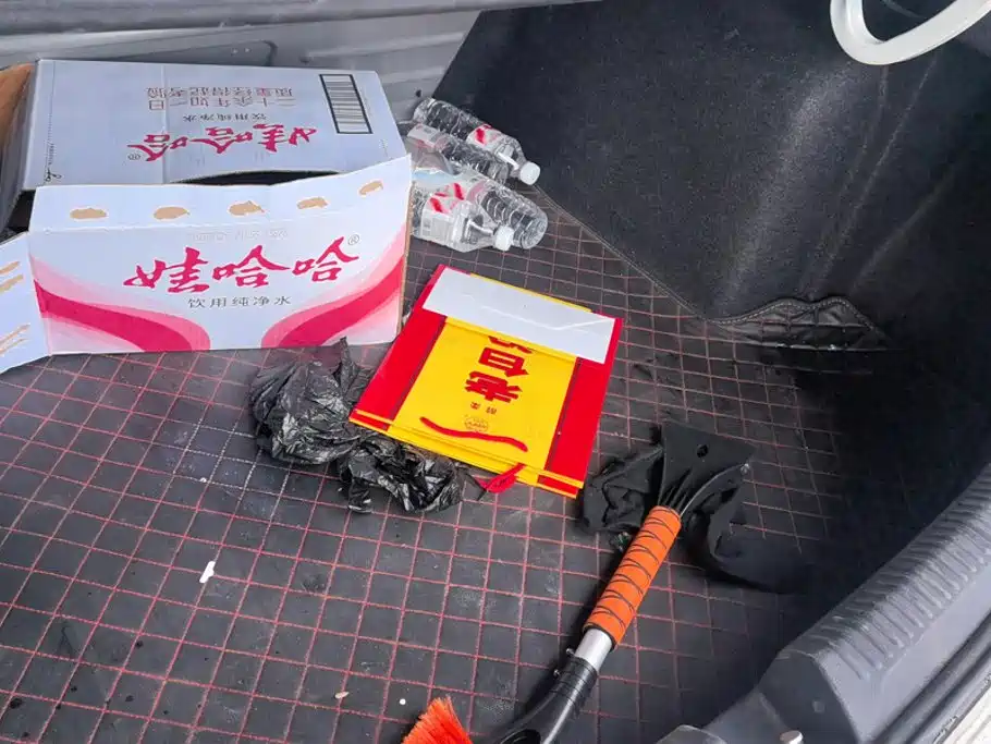 Volkswagen Santana 2019