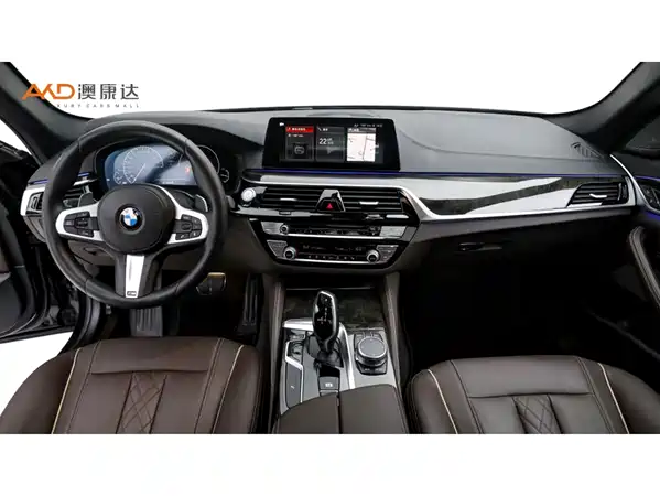 BMW 5 Series 2019