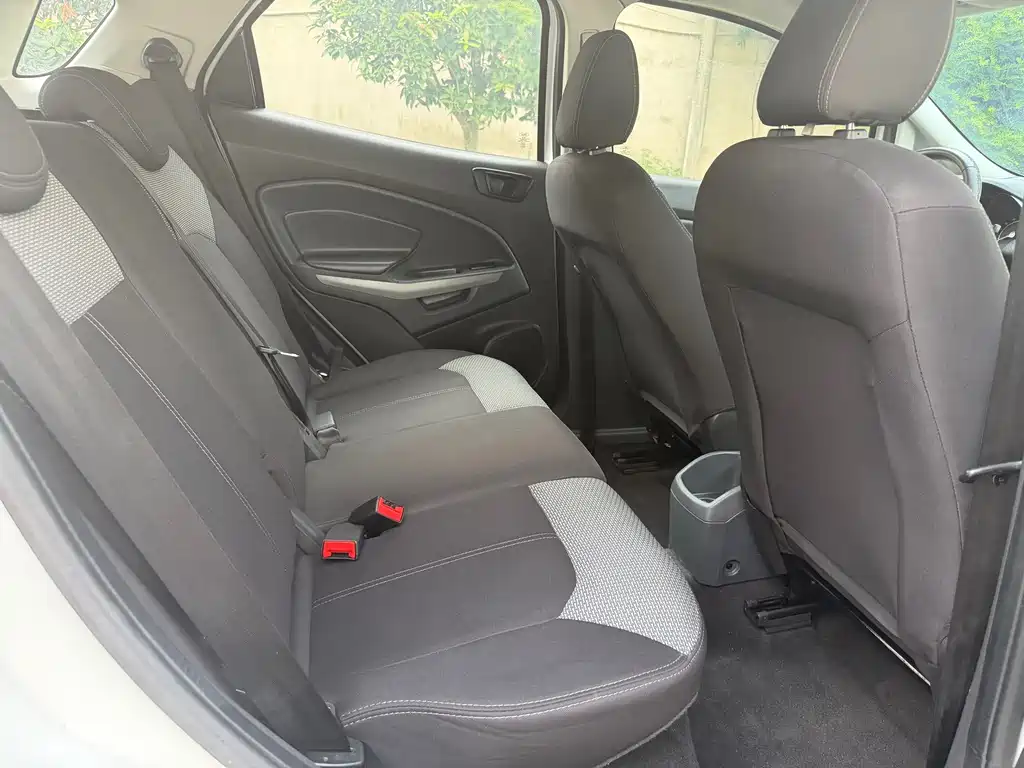 Ford EcoSport 2015 — фото 8