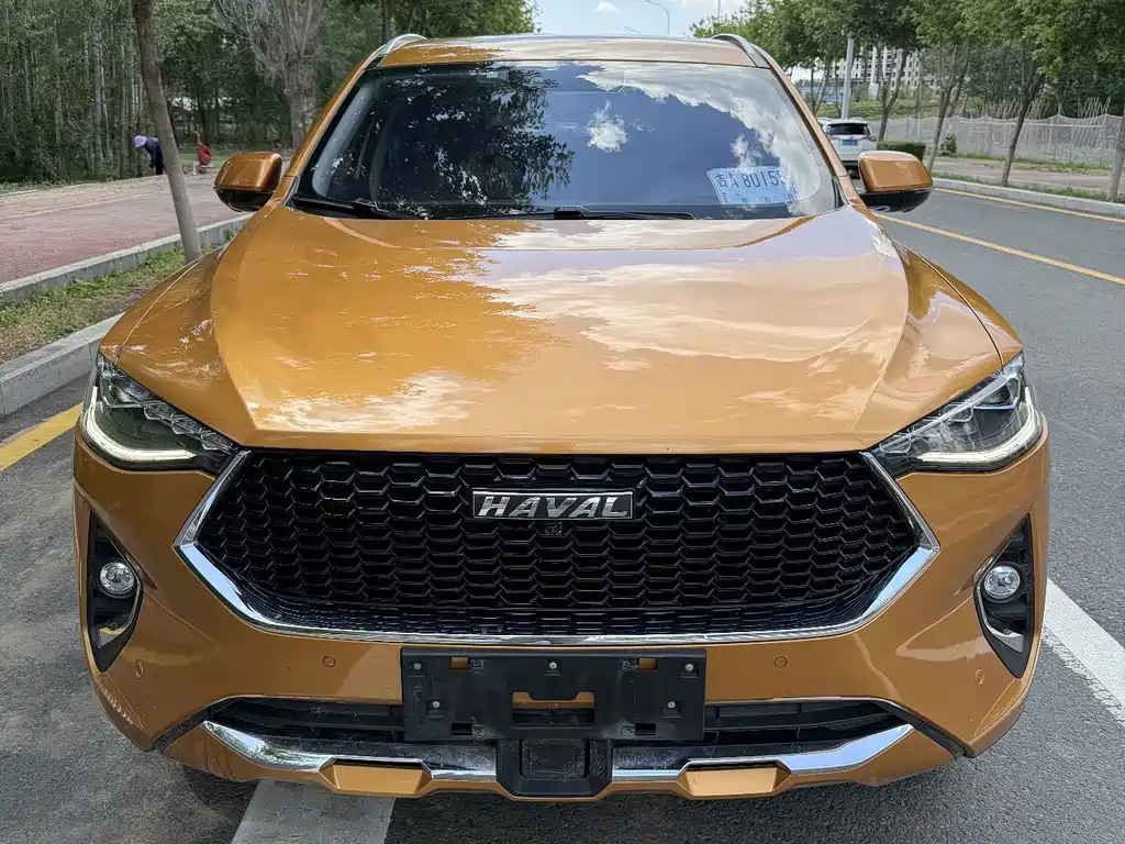 Haval F7 2020 — фото 1