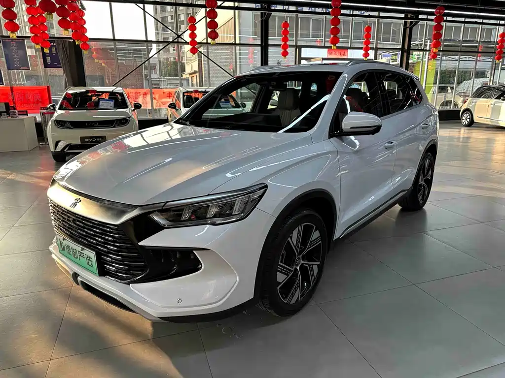 BYD Song Pro New Energy 2024 — фото 1