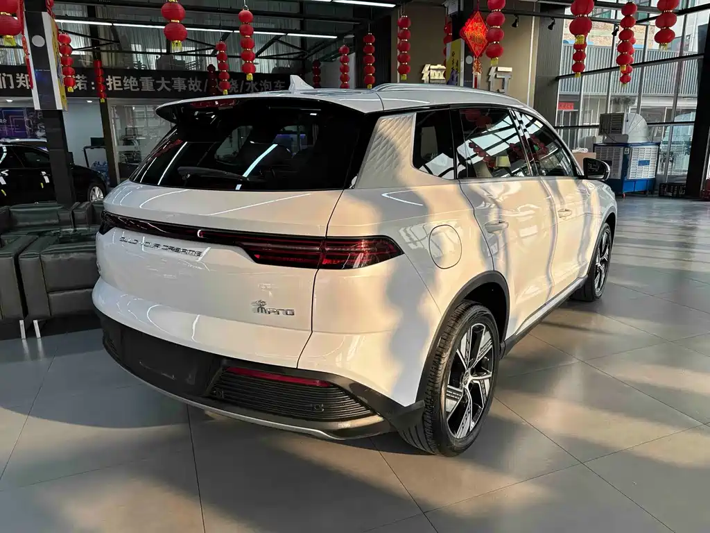 BYD Song Pro New Energy 2024 — фото 10
