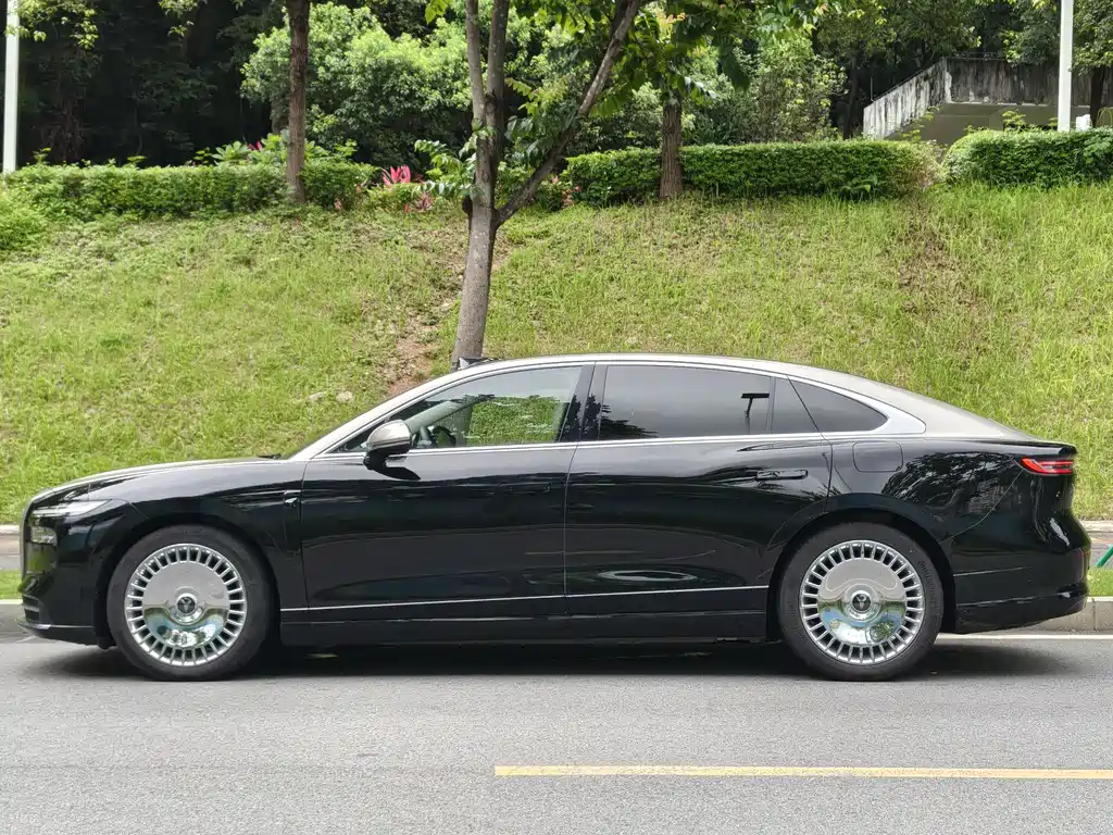 VOYAH Passion L 2025