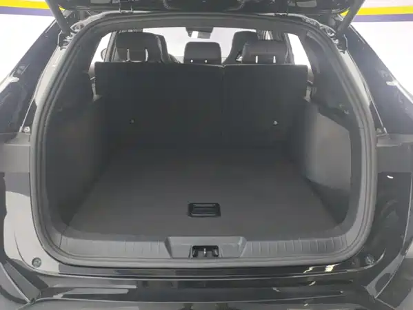 BYD Song PLUS New Energy 2024