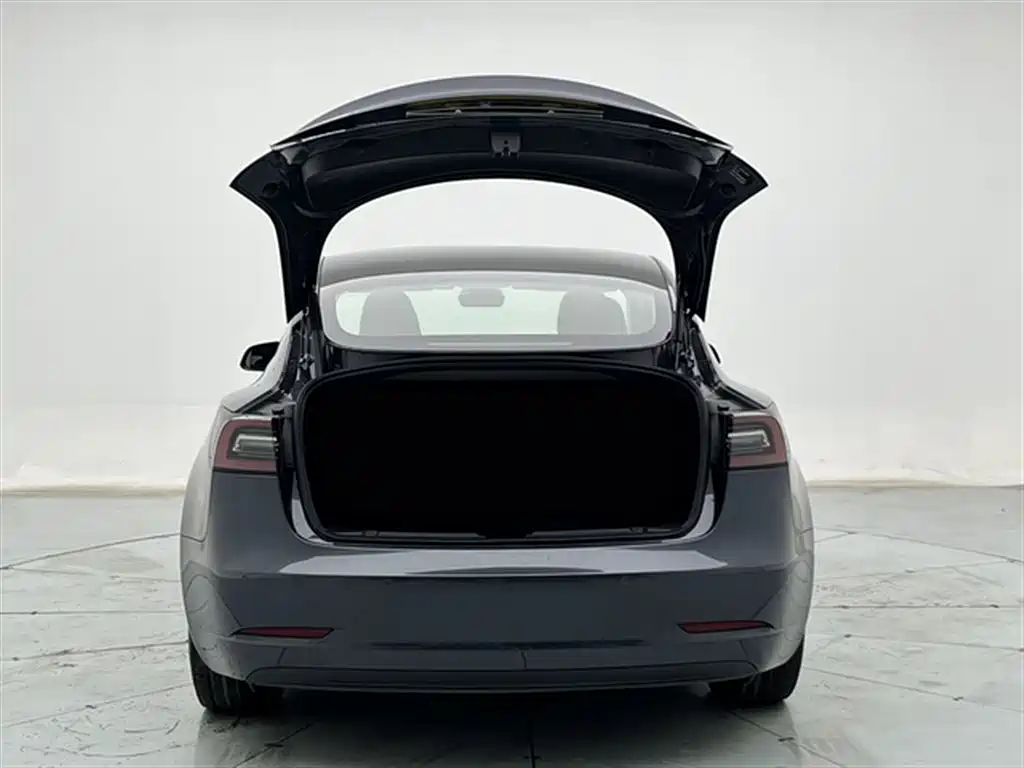 Tesla Model 3 2021 — фото 12