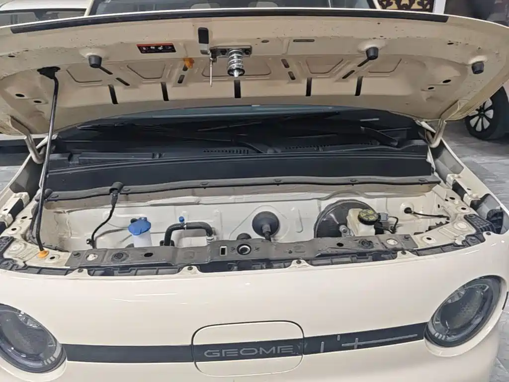 Geely Galaxy Panda 2025 — фото 20