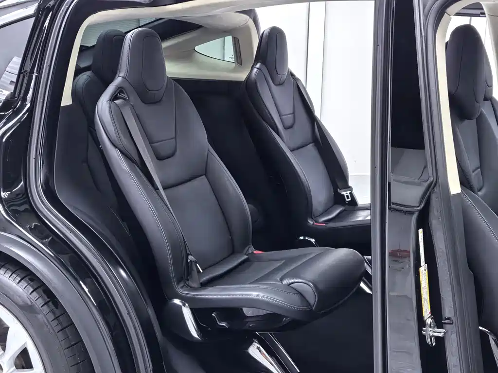 Tesla Model X 2017 — фото 9