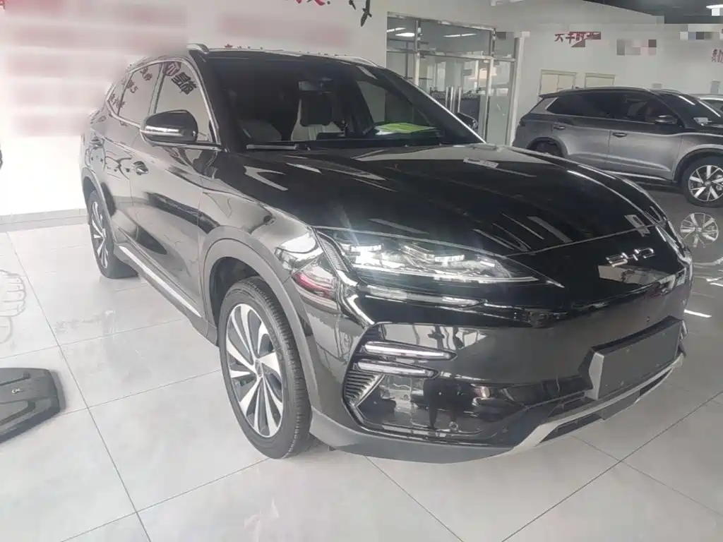 BYD Song PLUS New Energy 2024 — фото 4