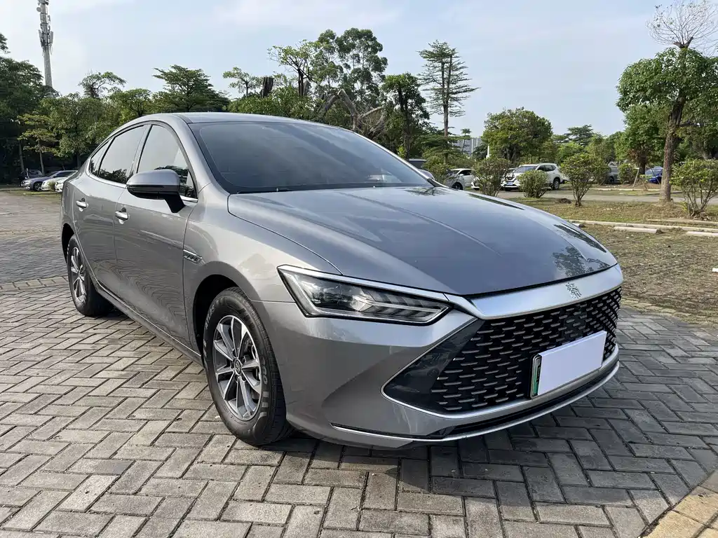 BYD Qin PLUS 2024 — фото 3