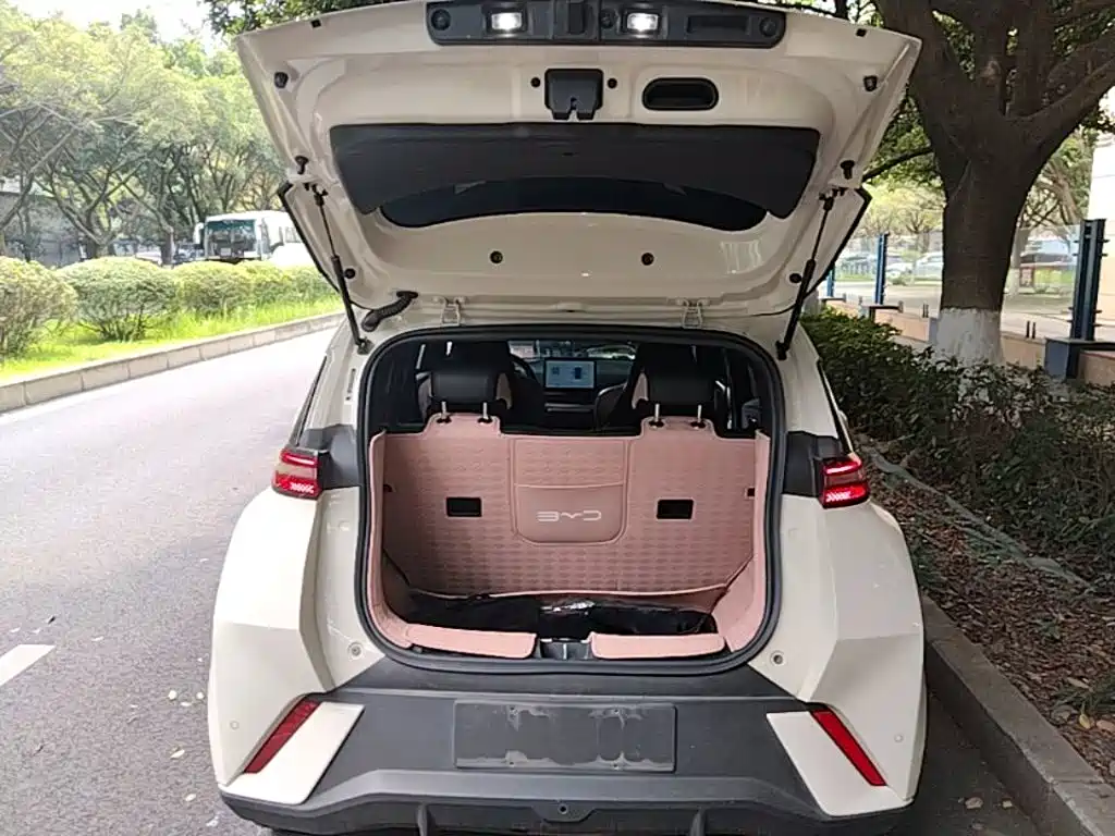 BYD Seagull 2023 — фото 19