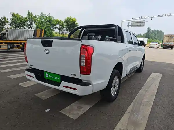 Great Wall Poer 2020