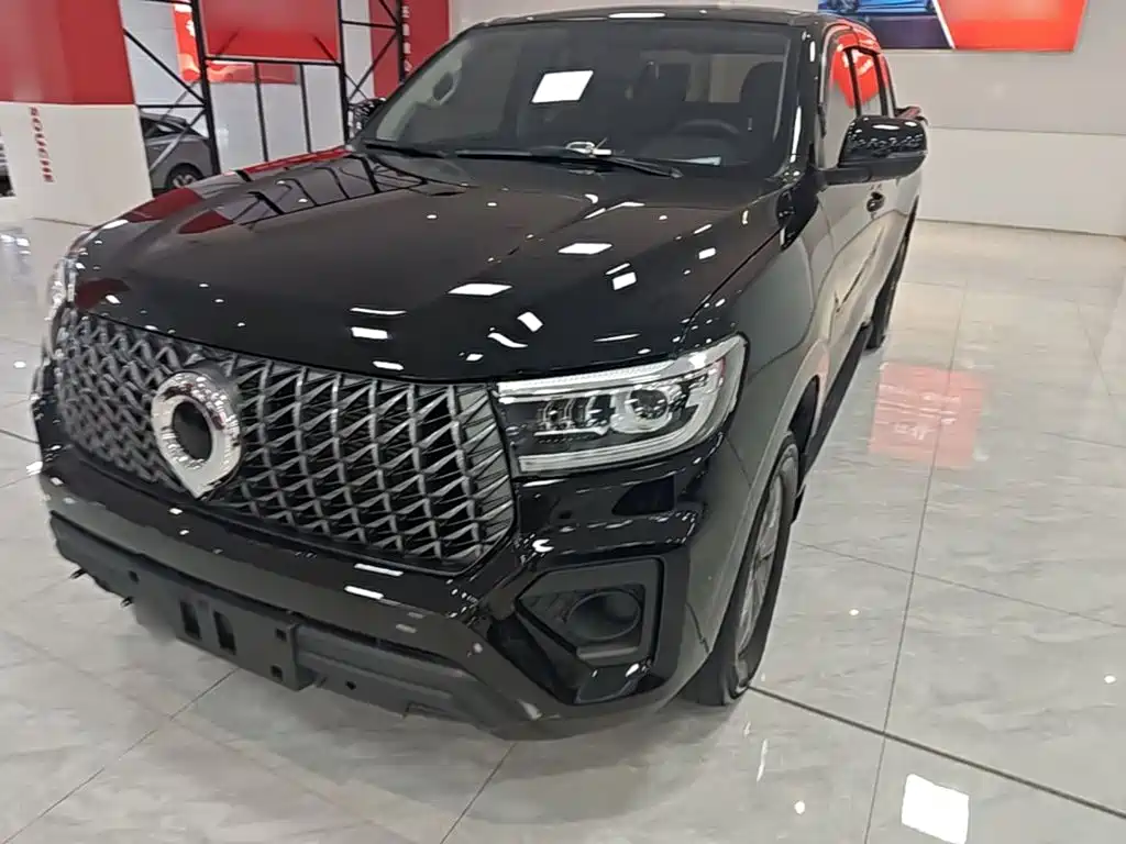 Great Wall Poer 2025