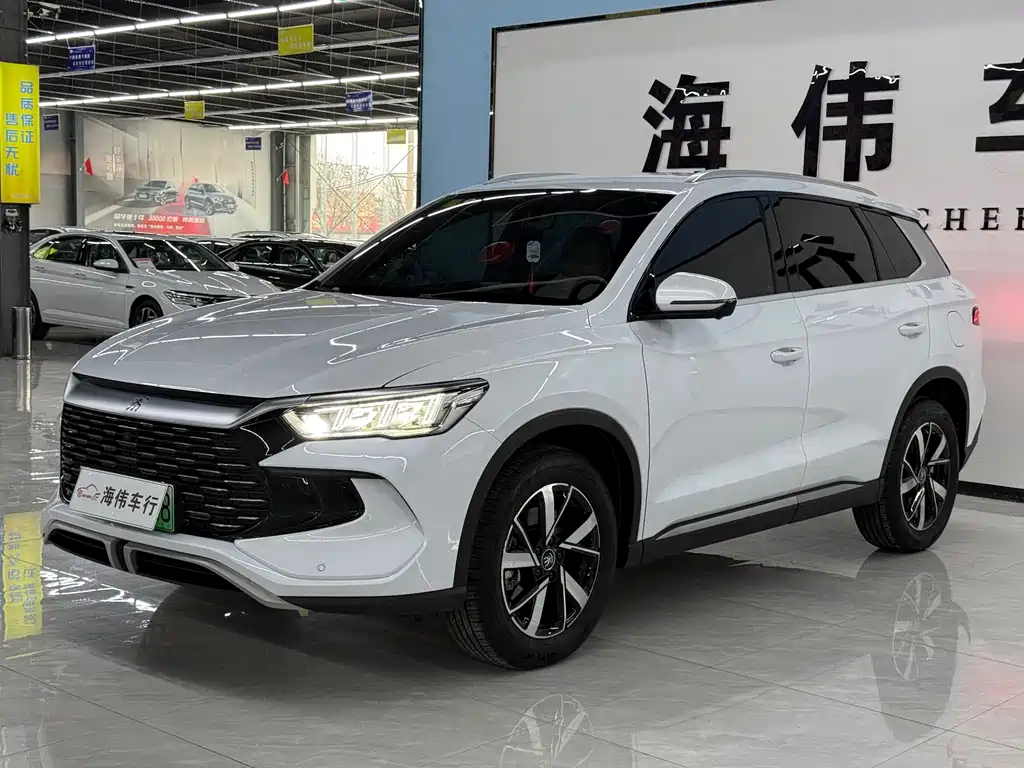 BYD Pro New Energy 2025 — фото 1