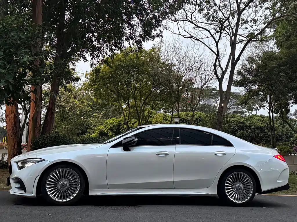 Mercedes-Benz CLS 2020 — фото 4