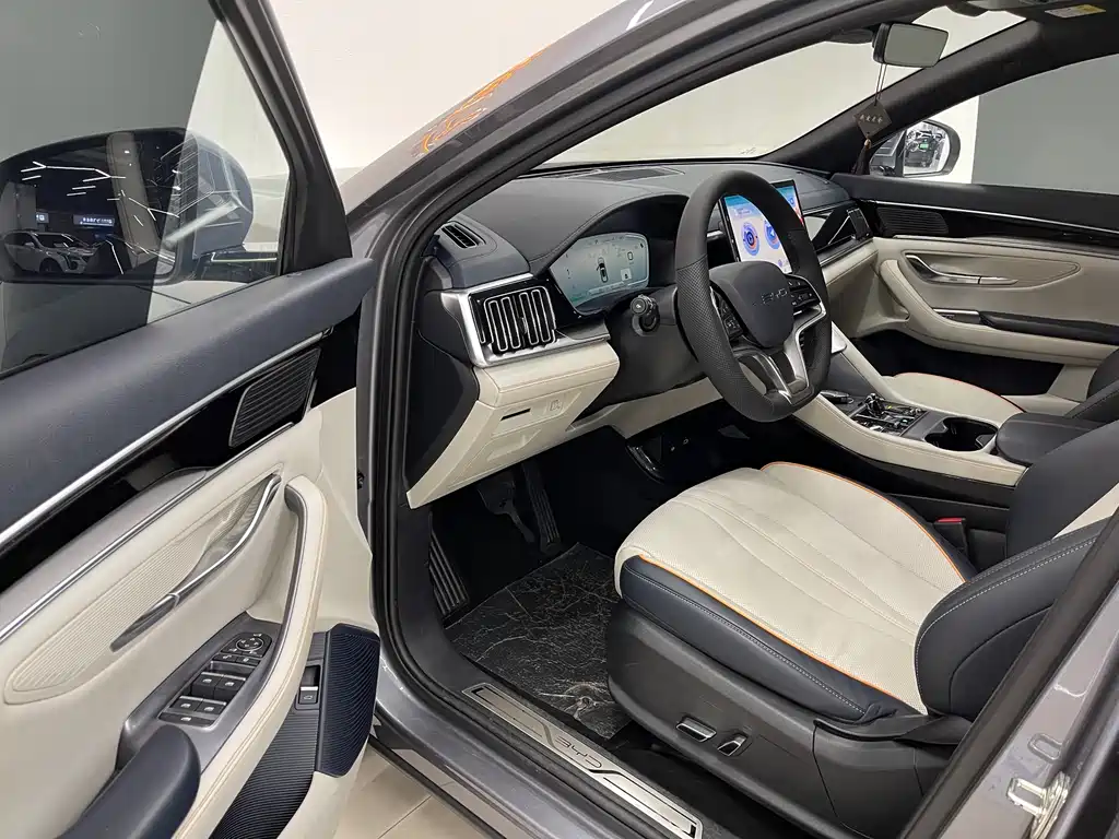 BYD Song PLUS New Energy 2024 — фото 13