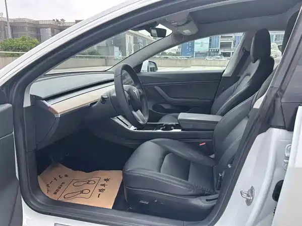 Tesla Model 3 2019
