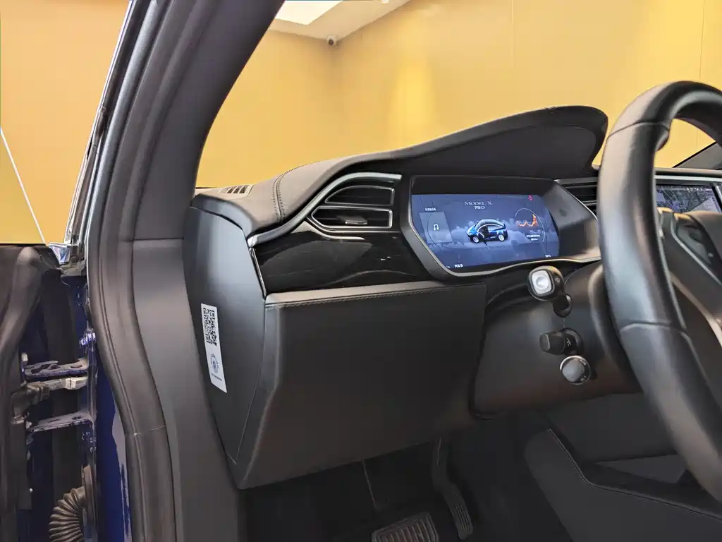 Tesla Model X 2017 — фото 12