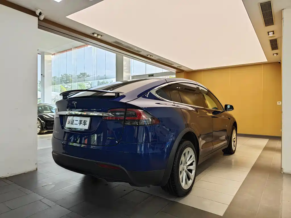 Tesla Model X 2017 — фото 33