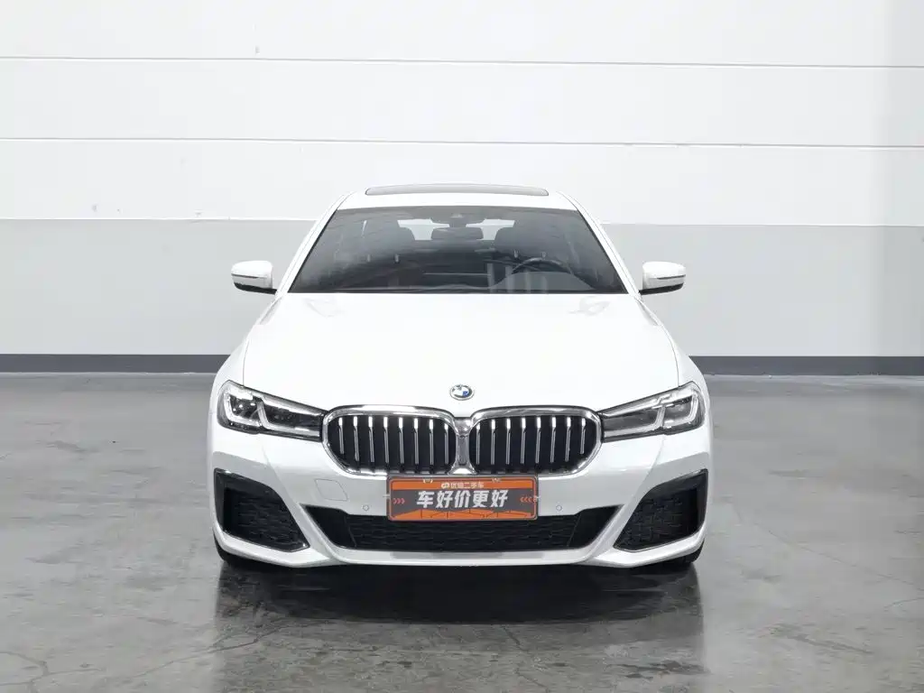 BMW 5 Series New Energy 2022 — фото 3