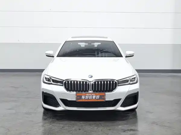 BMW 5 Series New Energy 2022