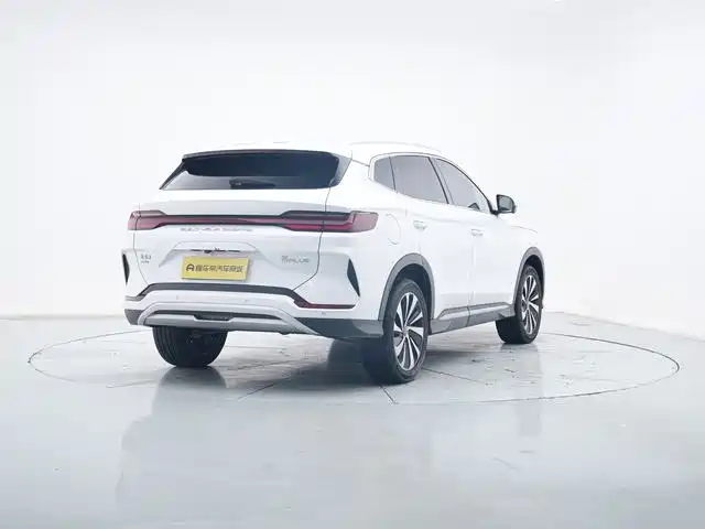 BYD PLUS New Energy 2023 — фото 4