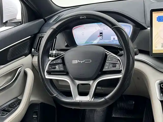BYD PLUS New Energy 2023 — фото 19