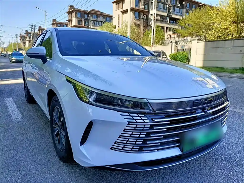 BYD Destroyer 05 2024 — фото 3